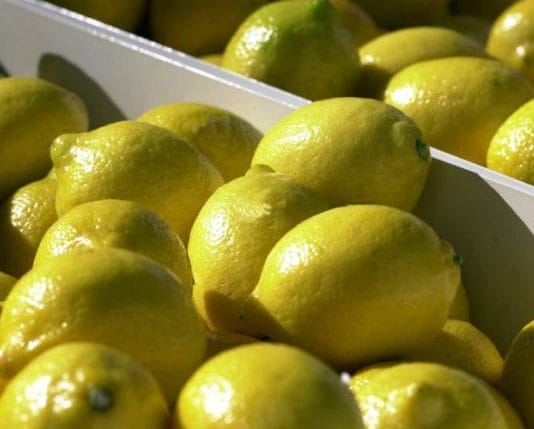 Buryaile: “La suspensión de los limones es una medida normal”