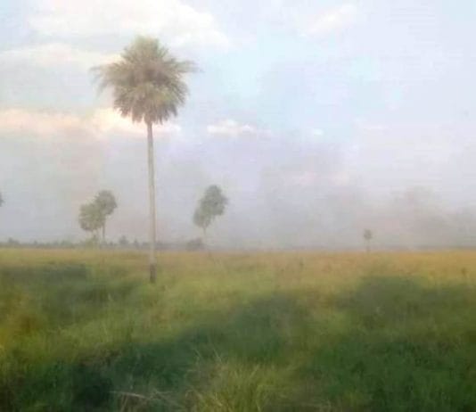 Registraron un incendio intencional en el Parque Nacional Río Pilcomayo