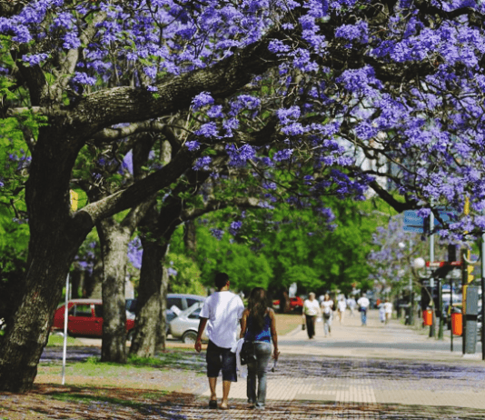 ¿Qué dice el pronóstico para el 14 de febrero, día de San Valentín?