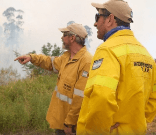 Denunciaron a Cabandié por los incendios que arrasan en Corrientes.