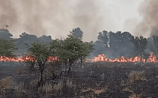 CORRIENTES: Valdés anunció una exención impositiva a pequeños y medianos productores.