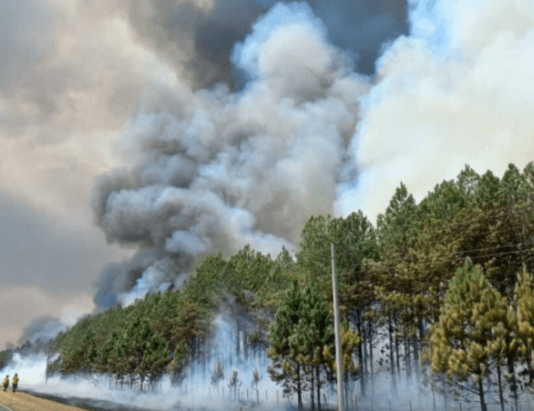 Las lluvias comienzan a dar esperanza en la lucha contra los incendios en Corrientes