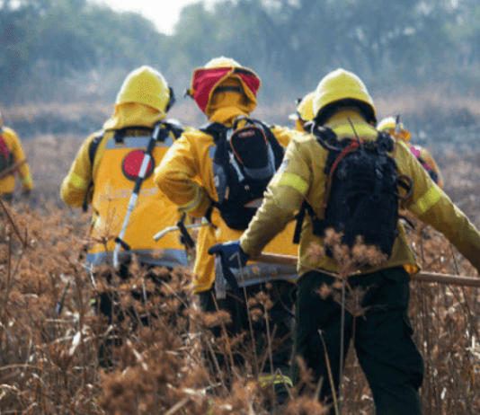 CORRIENTES: Un primer relevamiento indica pérdidas por unos $67.300 millones.