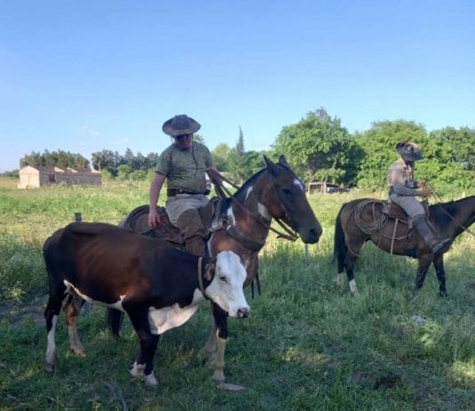 TRES LAGUNAS: Esclarecen un hecho de abigeato calificado por lo que fue detenido un joven y retenido un menor de edad.