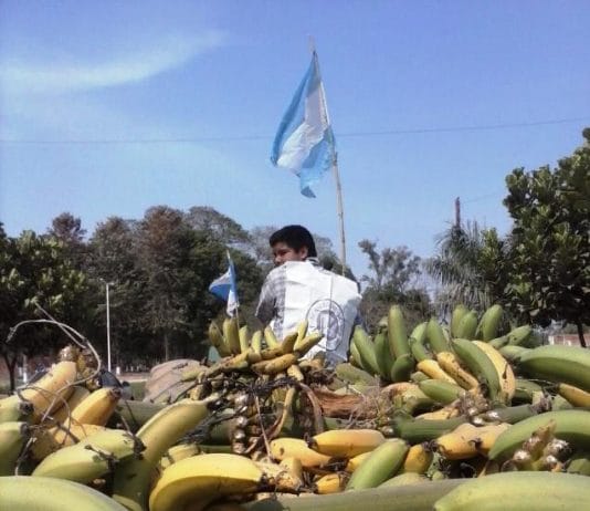 LAGUNA NAINECK: Productores agropecuarios convocan a un tractorazo.