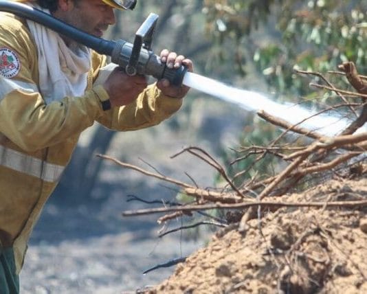 CELEBRAN EN CORRIENTES: Llovió y ya no quedan focos de incendios activos.