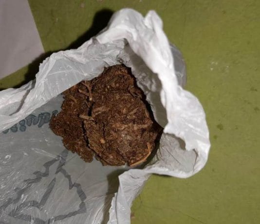 LAGUNA BLANCA: Detienen a un joven en procedimiento antinarcótico.