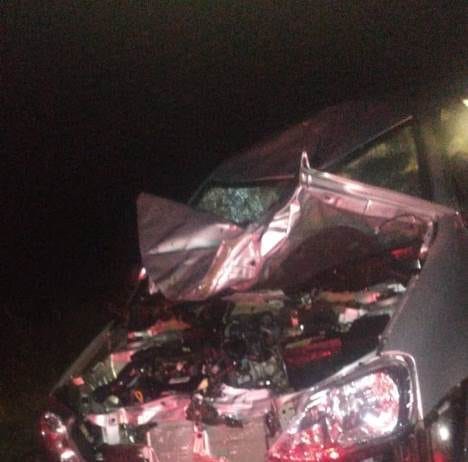 RIACHO HE HE: Ocupantes de un automóvil salieron ilesos tras colisionar contra un búfalo.