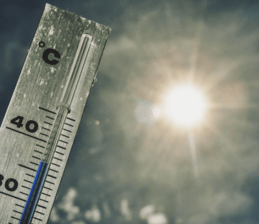 EN EL PAIS: ¿Qué dice el pronóstico para el lunes 28?