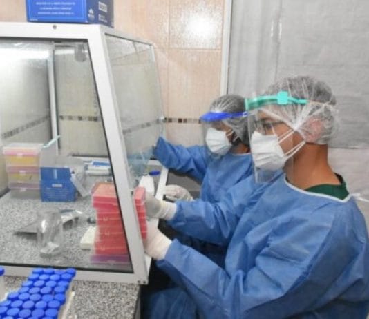Se diagnosticaron 16 nuevos casos de COVID-19 en la provincia