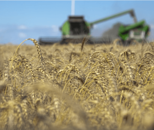 El campo aportó el 57,9% de los dólares por exportaciones durante el año anterior