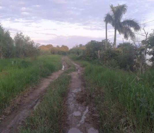 LAGUNA NAINECK: Vecinos de Lucero Cué reclaman la reparación y manteniendo de la ex Ruta 86.