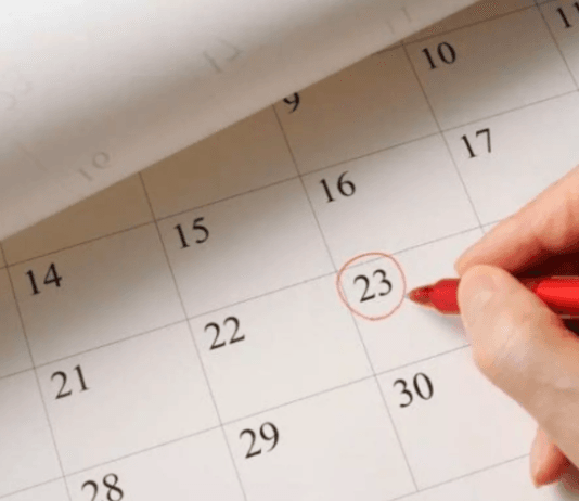 CALENDARIO ¿Cuándo es el próximo feriado largo?.