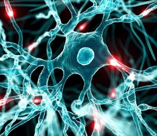 Los contagiados de Covid podrían tener un daño «irreversible» en el cerebro, según un estudio