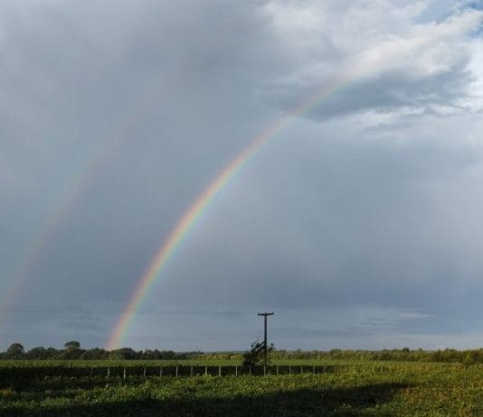 LA NIÑA NO SE VA: Predominará hasta julio y tiene altas chances de continuar todo el año
