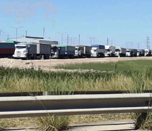 MENSAJE AL GOBIERNO Transportistas de granos comienzan la semana con un paro nacional: “Hasta lograr respuesta”