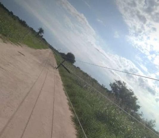 LAGUNA NAINECK: Colonia Punta Guía sin luz a raíz del temporal.