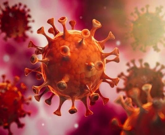 CORONAVIRUS: Cómo es la subvariante de Ómicron que ya arrasa en casi todo el mundo