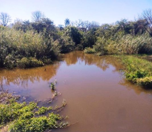 LAGUNA NAINECK: El agua de El Porteño continúa apta para laboreo.