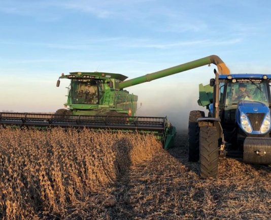 “Coseché 100 hectáreas de soja: 56,5 para el Estado y 3,5 para mí”