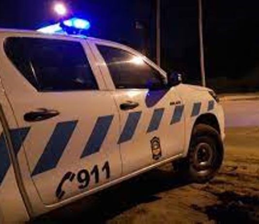 BUENA VISTA: Una camioneta despistó tras colisionar con un vacuno.