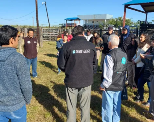 SENASA: Trabajan para fortalecer la sanidad animal en Laguna Blanca.