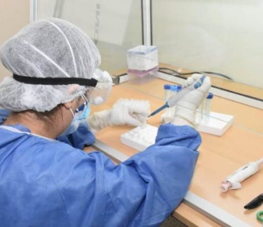 CORONAVIRUS: Suba de casos en Argentina: quiénes impulsan el actual aumento de contagios