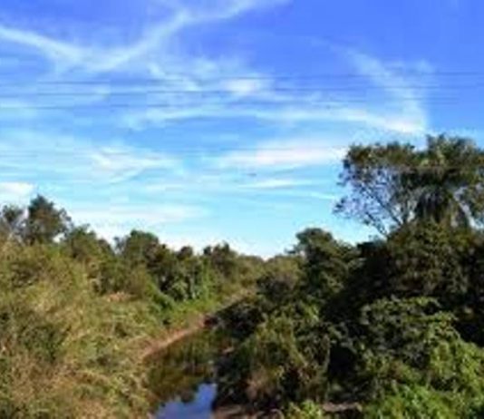 LAGUNA NAINECK: El riacho El Porteño mantiene su agua apta para riego.
