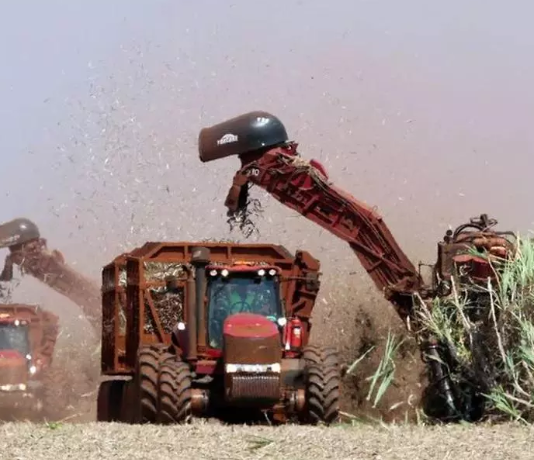 CRECE EL MALESTAR: Falta de gasoil: se agravó la situación en Tucumán y podría perderse el 30% de la cosecha de caña de azúcar