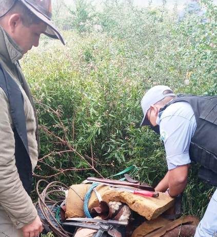 BUENA VISTA: La Policía esclareció un hecho de abigeato calificado.