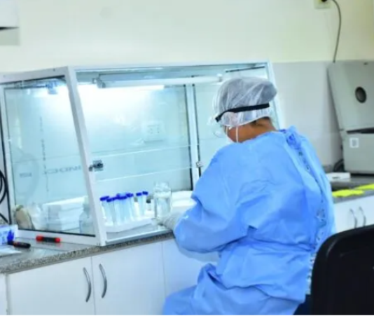 COVID-19: En la última semana se registraron 252 nuevos casos en la provincia de Formosa