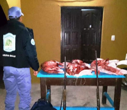 LAGUNA GALLO: UEAR secuestró armas de fuego y animales silvestres faenados.