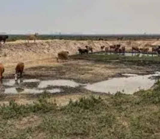 Tras varios meses, finalmente llegaron los recursos de la Emergencia Agropecuaria