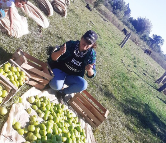 LAGUNA NAINECK: Productora paippera denunció “aprietes” de una funcionaria para que devuelva semillas recibidas.