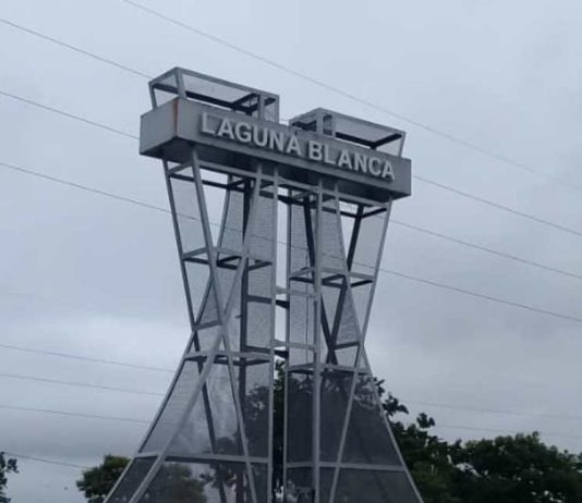 Abrieron registro municipal para ofrecer alquileres en la Fiesta Nacional del Pomelo