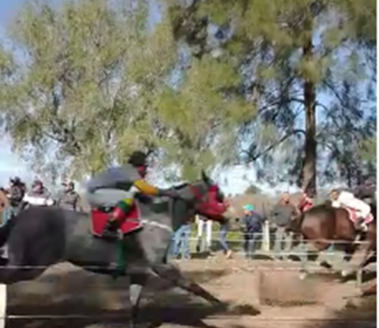 RIACHO HE HE: Un espectador falleció tras ser embestido por un caballo durante una carrera.