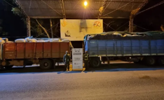 CLORINDA: Incautan 60 toneladas de soja de contrabando trasladadas en dos camiones