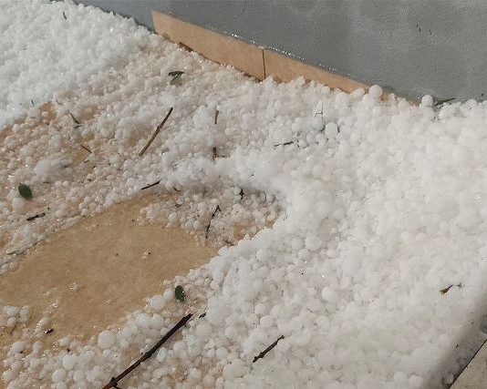 Casas destrozadas, animales muertos y cortes de luz: un temporal impactó de lleno en Entre Ríos.