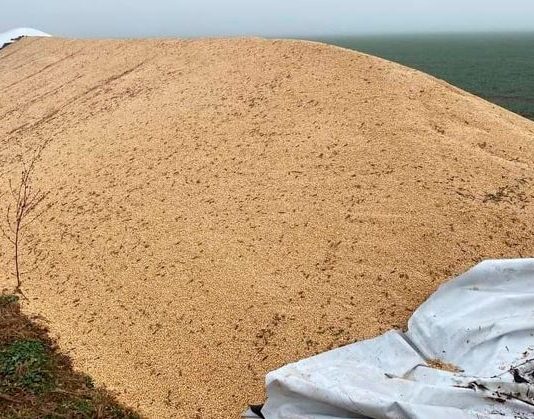 CONFLICTO CAMPO-GOBIERNO: Rompieron un silobolsa en Santa Fe y piqueteros K marcharán a la Rural