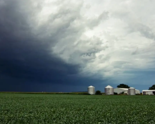 El pronóstico del tiempo para el lunes 25: húmedo, cálido e inestable