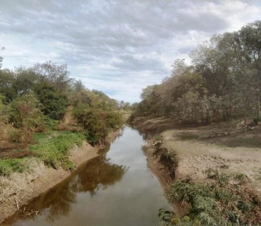 LAGUNA NAINECK: Continúa apta para riego el agua de El Porteño