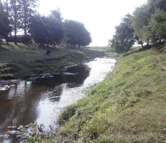 LAGUNA NAINECK: El agua de El Porteño es apta para riego