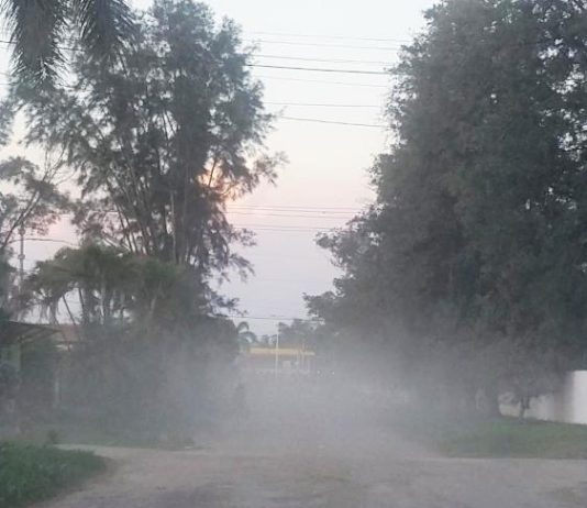 LAGUNA NAINECK: “Irrespirable”.