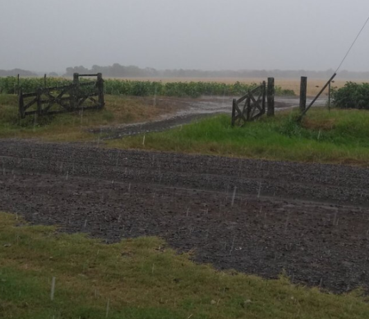 LA NIÑA COMIENZA A MERMAR: Ya asoman lluvias normales para Santa Fe, Córdoba y el norte