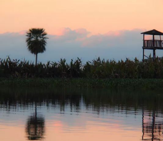 Pobladores de Formosa alertas por derrame químico en el Río Pilcomayo