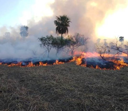 Instan a tomar medidas para prevenir incendios rurales y de pastizales