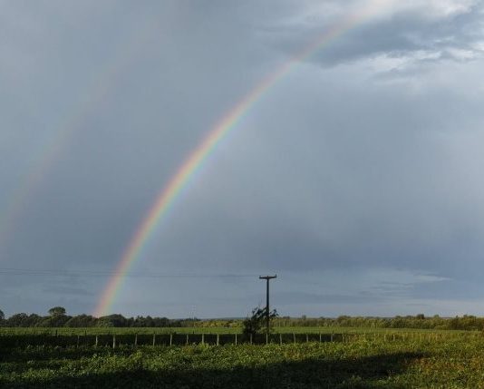 PRONÓSTICO. La Niña ¿eterna?: nuevas proyecciones indican que se extendería hasta febrero