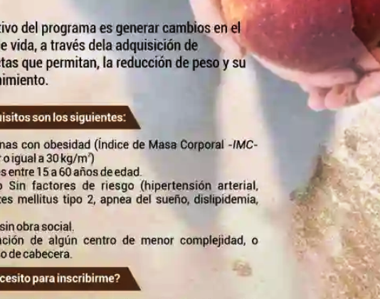 Programa de abordaje integral de la obesidad del Hospital de Alta Complejidad «Pte. Juan D. Perón»