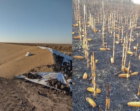 OLA DE VANDALISMO RURAL: Denuncian más ataques a silobolsas y la quema de un campo de maíz