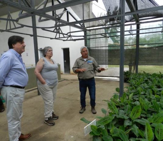 SENASA: Trabajo territorial para fortalecer la sanidad y la inocuidad agroalimentaria en Formosa.